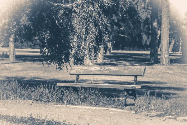 Старое винтажное фото. Скамейка в парке солнечный день летом — стоковое фото