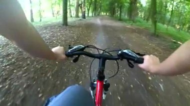 Ormanda bir toprak yolda Bisiklete binme