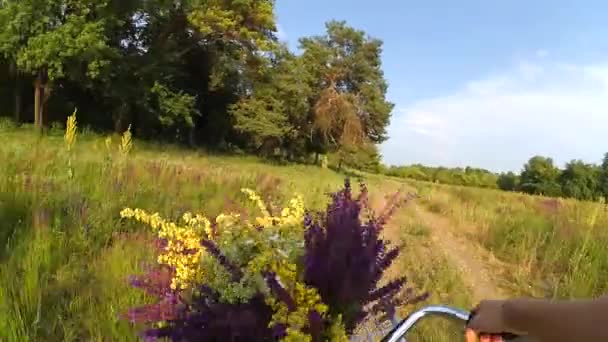 Женщина едет на велосипеде через поле — стоковое видео