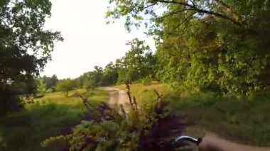 Kadın bir buket çiçek ile bir bisiklet ile gidiyor