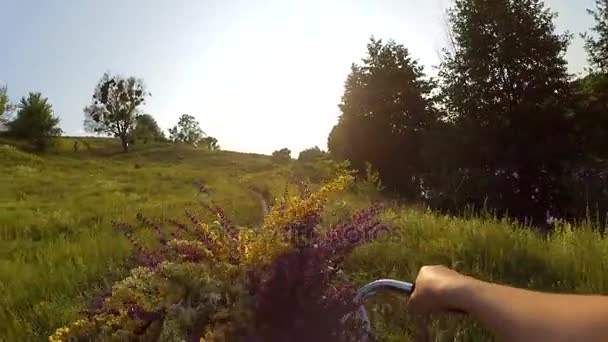 A cámara lenta. La mujer está montando en bicicleta por un campo — Vídeos de Stock