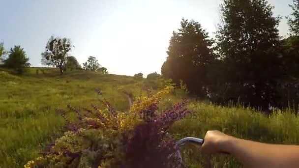 Rallentatore. Donna sta andando in bicicletta attraverso un campo — Video Stock