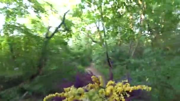 Dziewczyna jeździ na rowerze z bukietem kwiatów przed kołem — Wideo stockowe