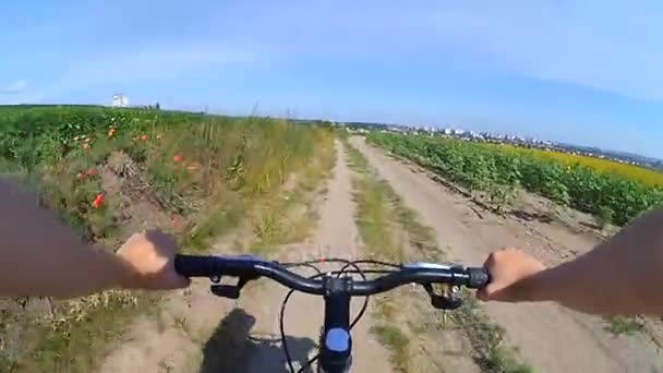 Uma menina ciclista em uma estrada através de um campo verde — Vídeo de Stock