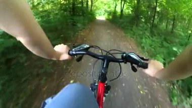 Bisiklete binen bir insan hızlı yaprak döken bir ormana biner.