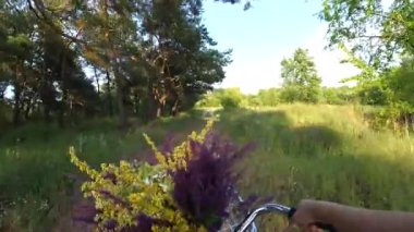 Doğal alan ormanında bisiklet süren bir kadın.