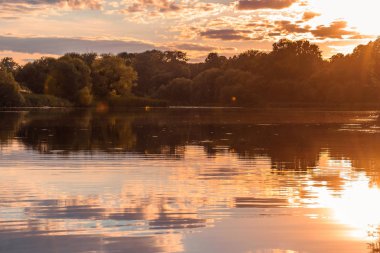 Sunset bulvarında bir orman Nehri