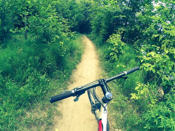 Велосипед стоит на грунтовой дорожке в лесу . — стоковое фото