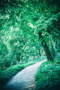 Bahar orman Park Road