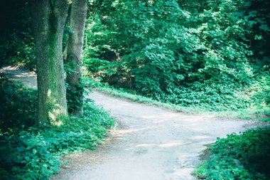 Bahar orman Park Road