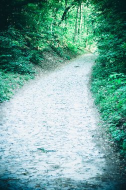 Bahar orman Park Road