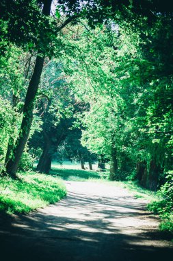 Bahar orman Park Road