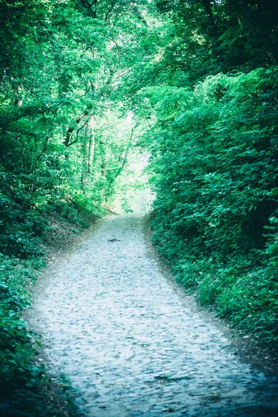 Bahar orman Park Road