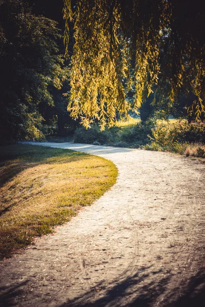 Camino en el parque forestal en la primavera — Foto de Stock