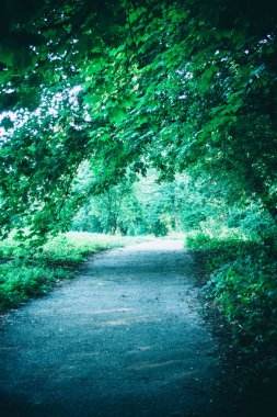 Bahar orman Park Road