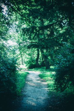 Bahar orman Park Road