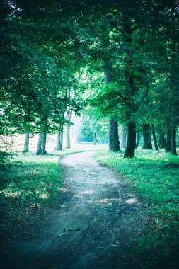 Bahar orman Park Road