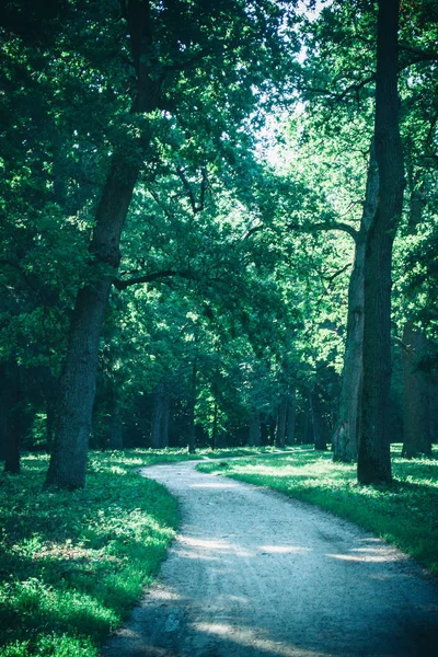 Bahar orman Park Road