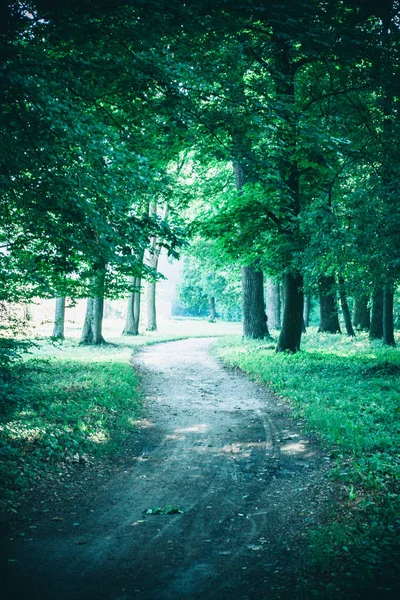 Bahar orman Park Road