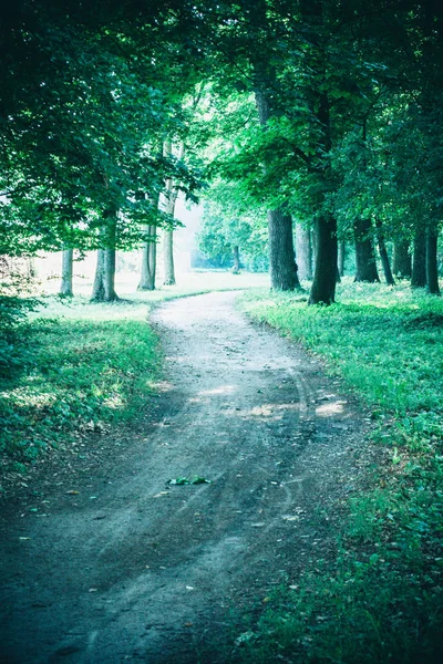 Bahar orman Park Road