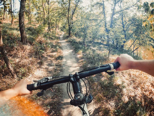 Fahrrad Lenkrad Handweg Wald Bäume grün gehen pro Action-Kamera. — Stockfoto