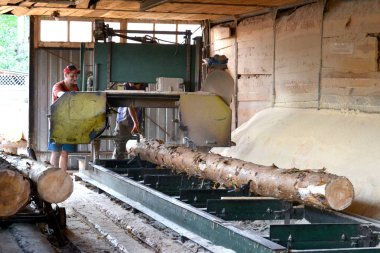 Bıçkıhane. bıçkıhane makinesindeki makine kayıtları ağaç gövdesini testereyle keser