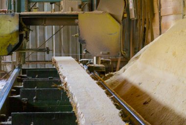 Bıçkıhane. bıçkıhane makinesindeki makine kayıtları ağaç gövdesini testereyle keser