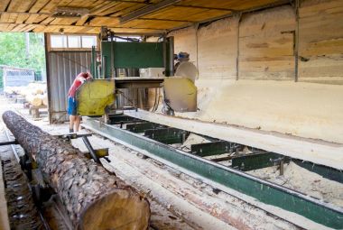 Bıçkıhane. bıçkıhane makinesindeki makine kayıtları ağaç gövdesini testereyle keser