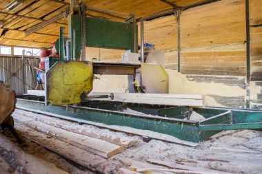 Bıçkıhane. bıçkıhane makinesindeki makine kayıtları ağaç gövdesini testereyle keser