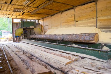 Bıçkıhane. bıçkıhane makinesindeki makine kayıtları ağaç gövdesini testereyle keser