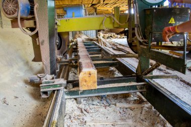 Bıçkıhane. bıçkıhane makinesindeki makine kayıtları ağaç gövdesini testereyle keser