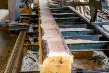 Bıçkıhane. bıçkıhane makinesindeki makine kayıtları ağaç gövdesini testereyle keser