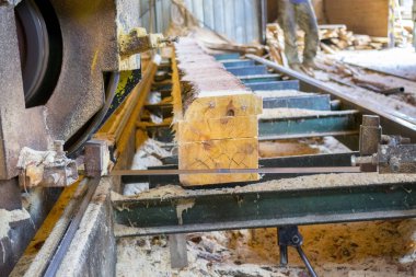 Bıçkıhane. bıçkıhane makinesindeki makine kayıtları ağaç gövdesini testereyle keser