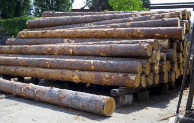 Kereste fabrikası. Ambar kereste yığın günlüklerinin çam kesme tahtaları kereste kirişler