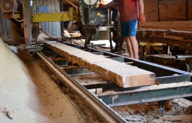 Bıçkıhane. bıçkıhane makinesindeki makine kayıtları ağaç gövdesini testereyle keser