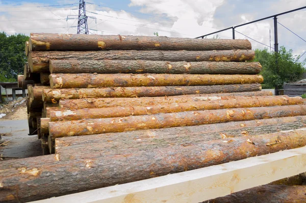 Sawmill. Warehouse timber stack of Logs of pine for sawing beams boards lumber