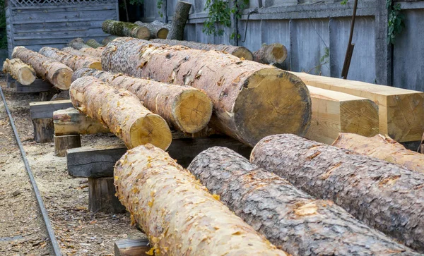 Sawmill. Warehouse timber stack of Logs of pine for sawing beams boards lumber