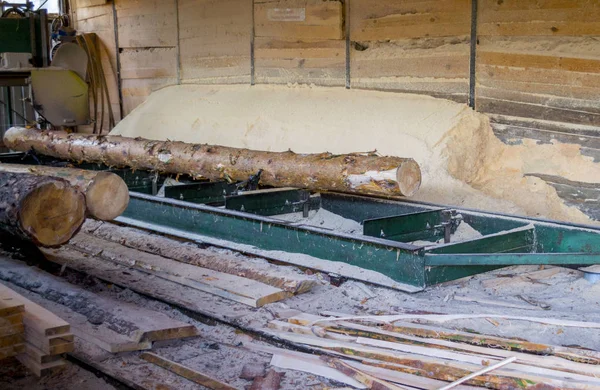 Bıçkıhane. bıçkıhane makinesindeki makine kayıtları ağaç gövdesini testereyle keser