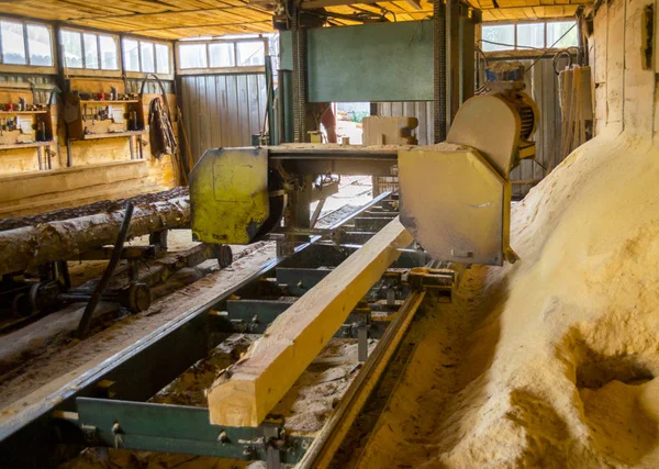 Bıçkıhane. bıçkıhane makinesindeki makine kayıtları ağaç gövdesini testereyle keser
