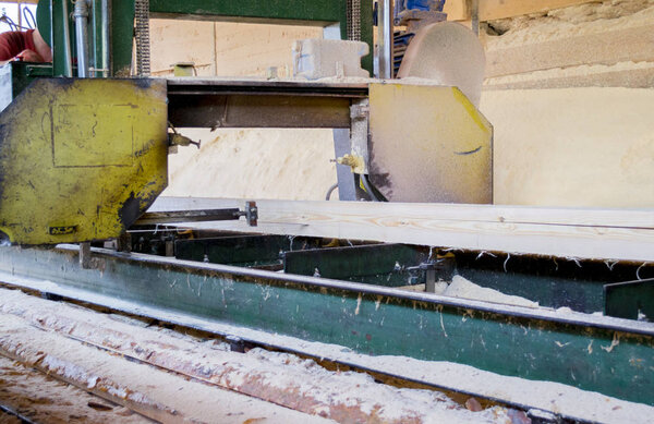 Sawmill. Process of machining logs in sawmill machine saws the tree trunk