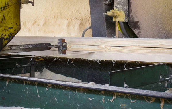 Bıçkıhane. bıçkıhane makinesindeki makine kayıtları ağaç gövdesini testereyle keser