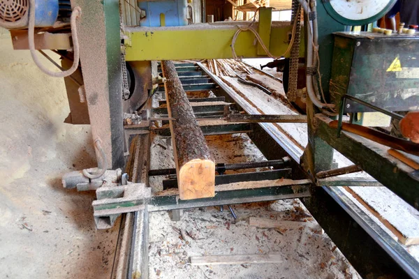 Лесопилка. Процесс обработки бревен в лесопильных станках пилит ствол дерева — стоковое фото