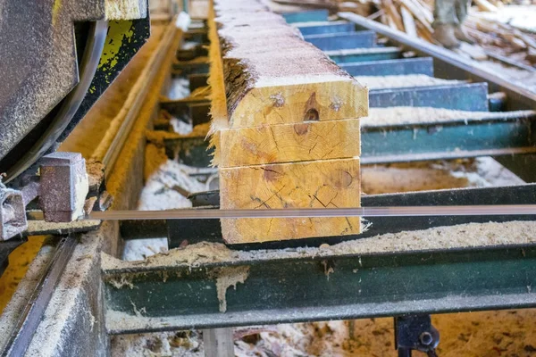 Bıçkıhane. bıçkıhane makinesindeki makine kayıtları ağaç gövdesini testereyle keser