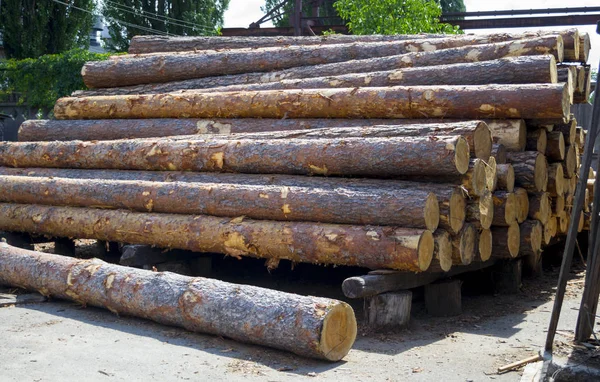 Kereste fabrikası. Ambar kereste yığın günlüklerinin çam kesme tahtaları kereste kirişler