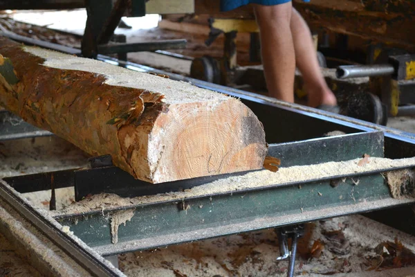 Bıçkıhane. bıçkıhane makinesindeki makine kayıtları ağaç gövdesini testereyle keser