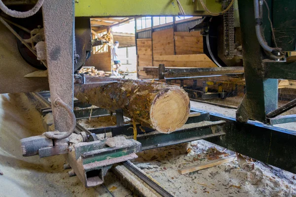 Bıçkıhane. bıçkıhane makinesindeki makine kayıtları ağaç gövdesini testereyle keser