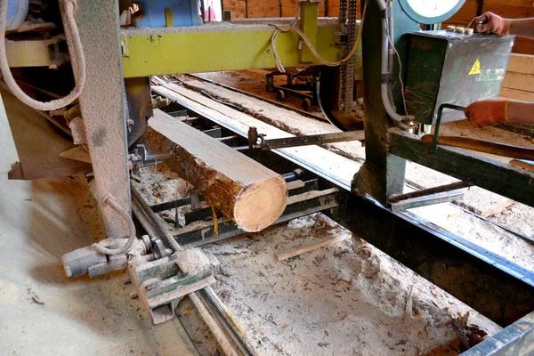 Лесопилка. Процесс обработки бревен в лесопильных станках пилит ствол дерева — стоковое фото