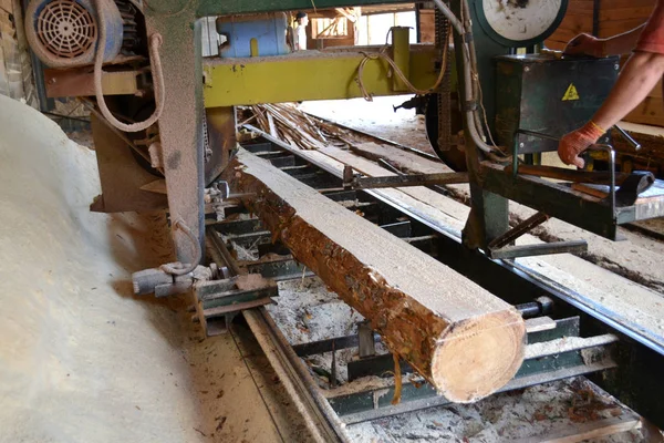 Bıçkıhane. bıçkıhane makinesindeki makine kayıtları ağaç gövdesini testereyle keser
