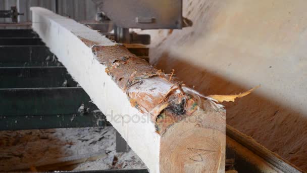 Zaagmolen. Proces van het bewerken van stammen in zagerij machine zagen de boomstam — Stockvideo