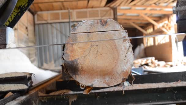 Scierie. Processus d'usinage des grumes dans la scierie scie à la machine le tronc d'arbre — Video